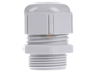 Front view Lapp STR-M25x1,5 R7035LGY Cable screw gland 
