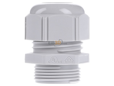 View on the right Lapp STR-M25x1,5 R7035LGY Cable screw gland 
