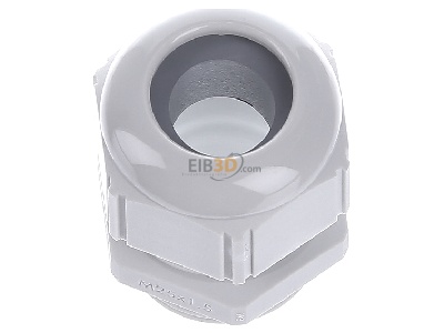 View up front Lapp STR-M25x1,5 R7035LGY Cable screw gland 
