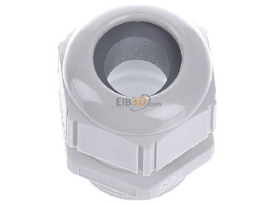 Top rear view Lapp STR-M25x1,5 R7035LGY Cable screw gland 

