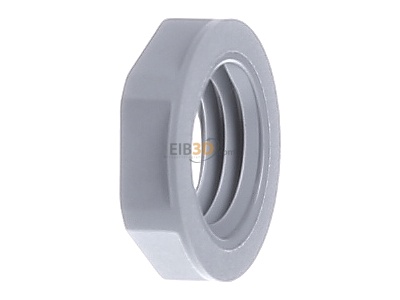 View on the right Lapp GMP-GL-M12x1,5 R7001 Locknut for cable screw gland M12 
