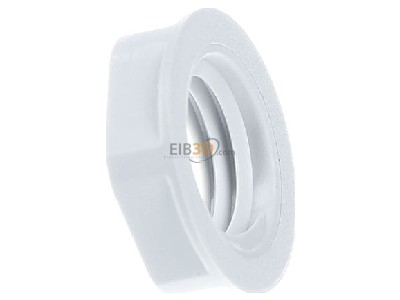 Ansicht links Lapp GMP-GL-M12x1,5 R7035 Gegenmutter SKINTOP 