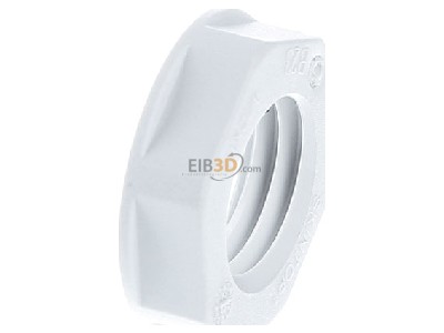 Ansicht rechts Lapp GMP-GL-M12x1,5 R7035 Gegenmutter SKINTOP 