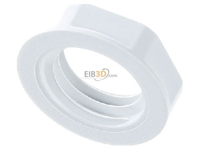 Ansicht oben vorne Lapp GMP-GL-M12x1,5 R7035 Gegenmutter SKINTOP 