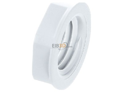 Ansicht oben links Lapp GMP-GL-M12x1,5 R7035 Gegenmutter SKINTOP 