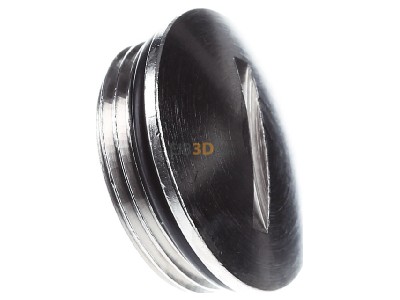 View on the left Lapp BL-M 25x1,5 +O-Ring Threaded plug 
