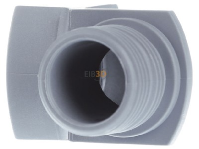 View on the right Lapp KW-M 20x1,5 Cable gland / core connector 
