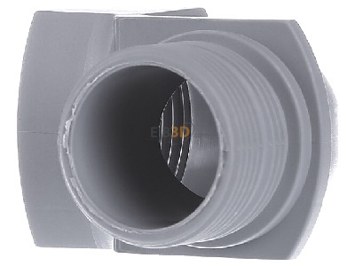 View on the right Lapp KW-M 25x1,5 Cable gland / core connector 
