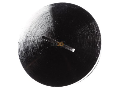 Front view Lapp BL-M 50x1,5 Threaded plug M50 
