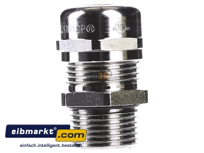 View on the right Lapp Zubehr MS-SC-M-XL 20x1,5 Cable screw gland M20
