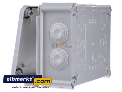 View on the right OBO Bettermann T 160 M32 Surface mounted box 190x150mm
