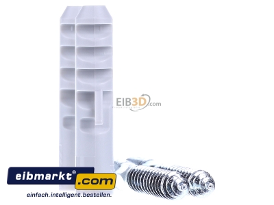 Ansicht links Dehn+Shne BS M10 PAS Befestigungsset 2 Schrauben+Dbel 