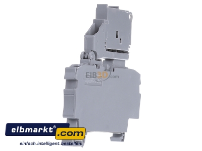 View on the right WAGO Kontakttechnik 2002-1611/1000-541 G-fuse 5x20 mm terminal block 6A 6,2mm - 
