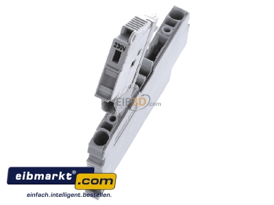 View top right WAGO Kontakttechnik 2002-1611/1000-836 G-fuse 5x20 mm terminal block 6A 6,2mm
