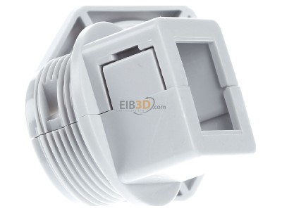 View on the left Icotek 45036 Cable gland / core connector 
