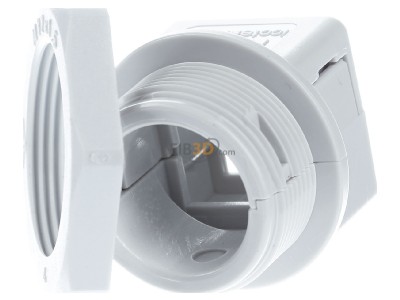 Back view Icotek 45036 Cable gland / core connector 
