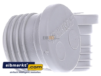 View on the right Frnkische FWVS-E 20 Closure plug for installation tube 20mm
