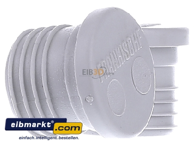 View on the right Frnkische FWVS-E 20 Closure plug for installation tube 20mm

