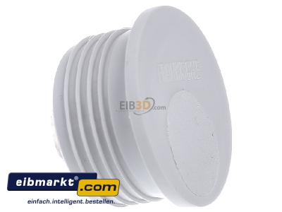 View on the left Frnkische FWVS-E 40 Closure plug for installation tube 40mm
