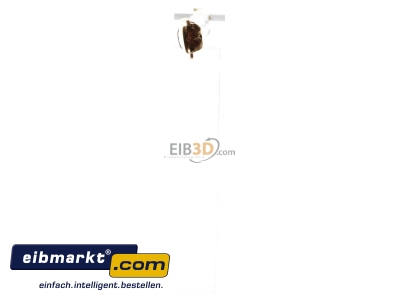 View top left Cable tree for distribution board 10mm K67K Hager K67K
