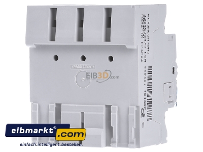 Back view Hager CDS463D Residual current breaker 4-p 63/0,03A - 
