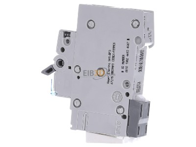 View on the right Hager MBN116 Miniature circuit breaker 1-pin B-16A, 
