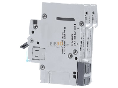 View on the right Hager MBN206 Miniature circuit breaker 2-p B6A 
