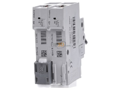 Back view Hager MBN216 Miniature circuit breaker 2-p B16A 
