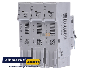 Back view Hager MBN316 Miniature circuit breaker 3-p B16A 
