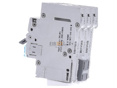 View on the right Hager MBN340 Miniature circuit breaker 3-p B40A 

