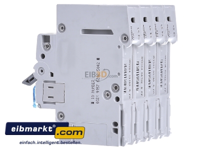 View on the right Hager MBN625 Miniature circuit breaker 3-p B25A - 
