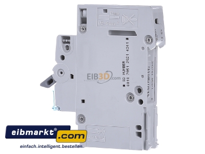 View on the right Hager MBS106 Miniature circuit breaker 1-p B6A - 
