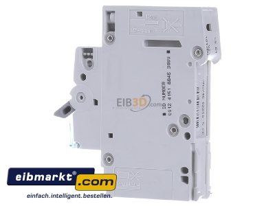 View on the right Hager MBS113 Miniature circuit breaker 1-p B13A - 
