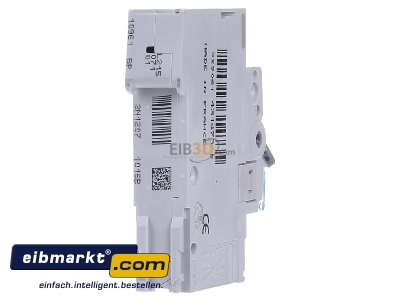 Back view Hager MBS116 Miniature circuit breaker 1-p B16A - 
