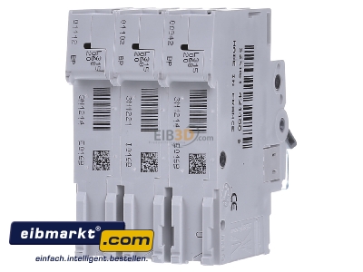 Back view Hager MBS316 Miniature circuit breaker 3-p B16A - 
