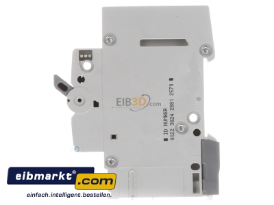 View on the right Miniature circuit breaker 1-p C0,5A MCN100 Hager MCN100
