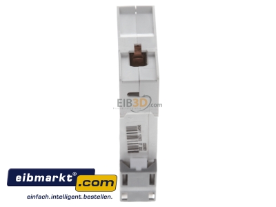 Top rear view Miniature circuit breaker 1-p C0,5A MCN100 Hager MCN100
