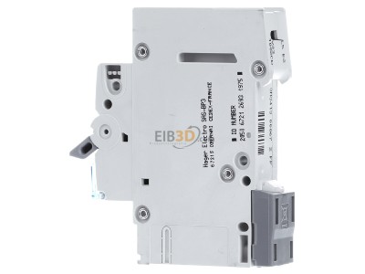 View on the right Hager MCN102 Miniature circuit breaker 1-p C2A 
