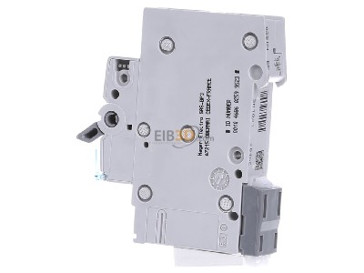 View on the right Hager MCN116 Miniature circuit breaker 1-p C16A 
