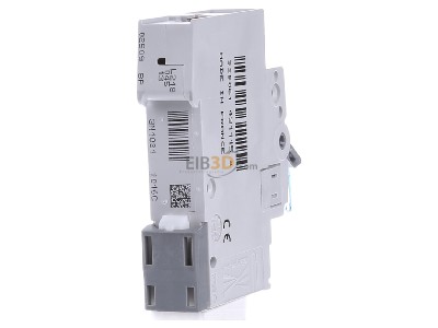 Back view Hager MCN116 Miniature circuit breaker 1-p C16A 
