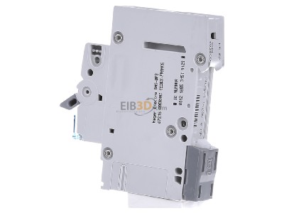 View on the right Hager MCN125 Miniature circuit breaker 1-p C25A 
