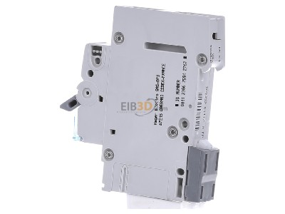 View on the right Hager MCN132 Miniature circuit breaker 1-p C32A 
