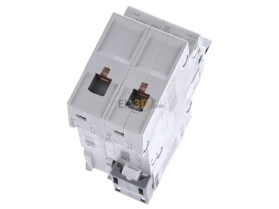 Top rear view Hager MCN204 Miniature circuit breaker 2-p C4A 
