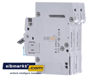 View on the right Hager MCN225 Miniature circuit breaker 2-p C25A 
