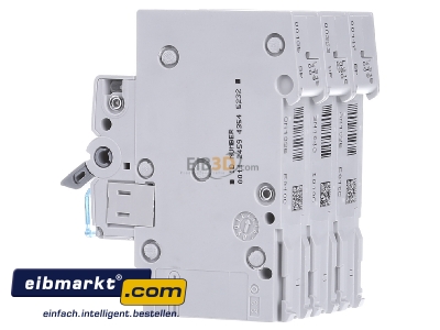 View on the right Hager MCN310 Miniature circuit breaker 3-p C10A - 

