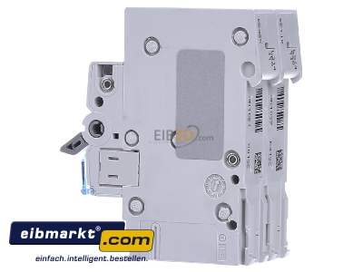 View on the right Hager MCN513 Miniature circuit breaker 1-p C13A - 
