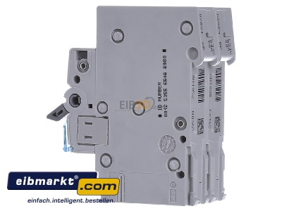 View on the right Hager MCN516 Miniature circuit breaker 1-p C16A - 
