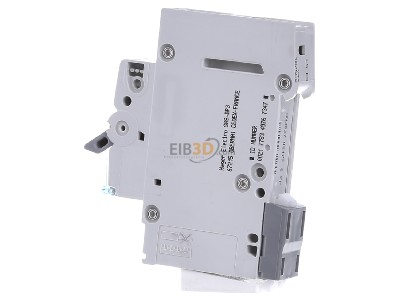 View on the right Hager MCS125 Miniature circuit breaker 1-p C25A 
