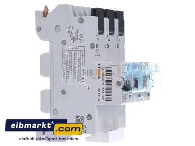 View on the left Hager HTS363E Selective mains circuit breaker 3-p 63A
