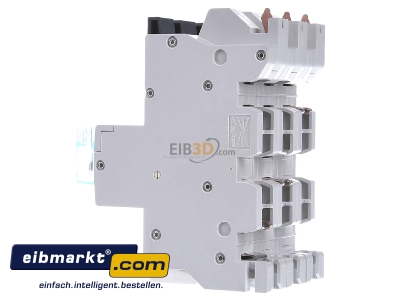 View on the right Hager HTS363E Selective mains circuit breaker 3-p 63A
